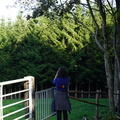 DSC08517